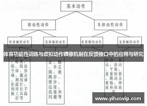 体育功能性训练与虚拟动作镜像机制在反馈接口中的应用与研究