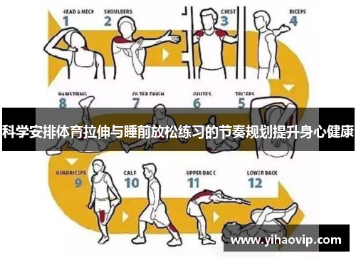 科学安排体育拉伸与睡前放松练习的节奏规划提升身心健康