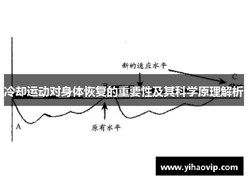 冷却运动对身体恢复的重要性及其科学原理解析