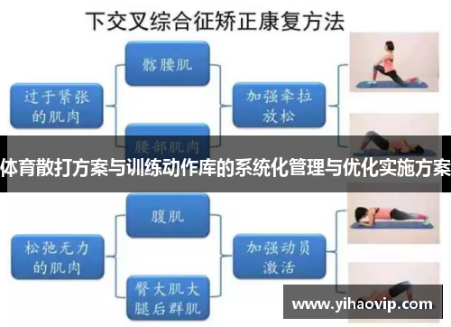 体育散打方案与训练动作库的系统化管理与优化实施方案